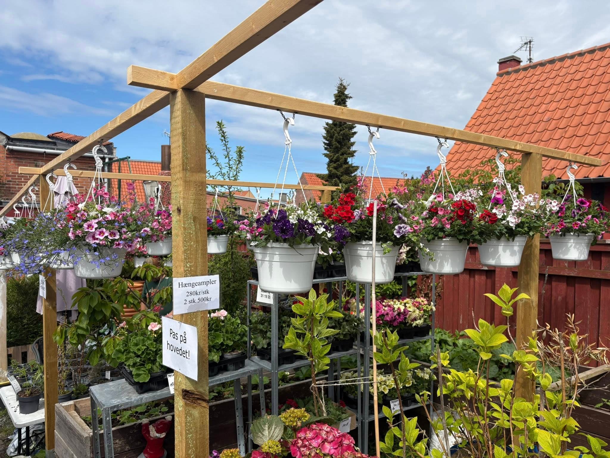 Hængeampler under buen