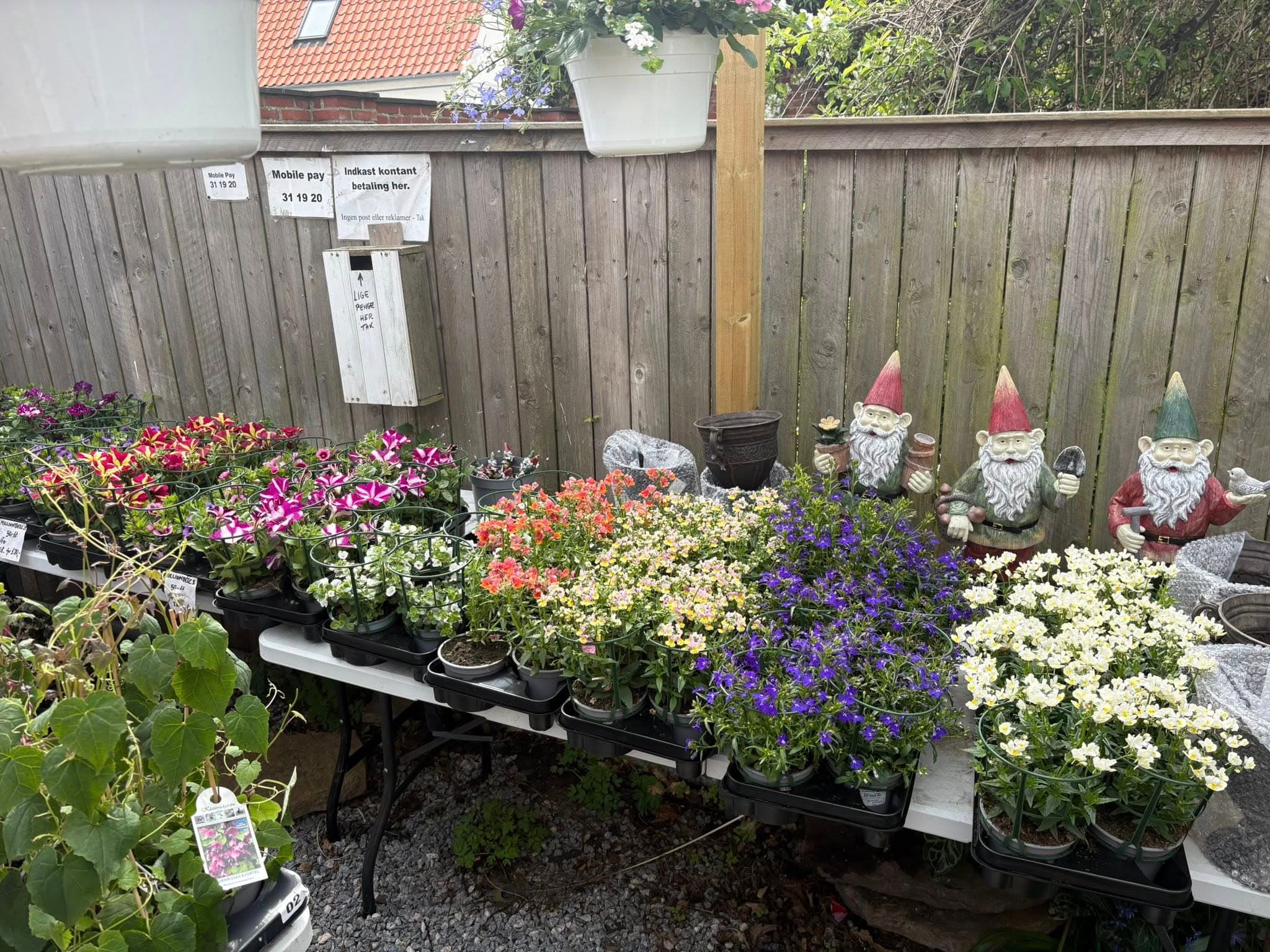 Selvbetjening i butikken