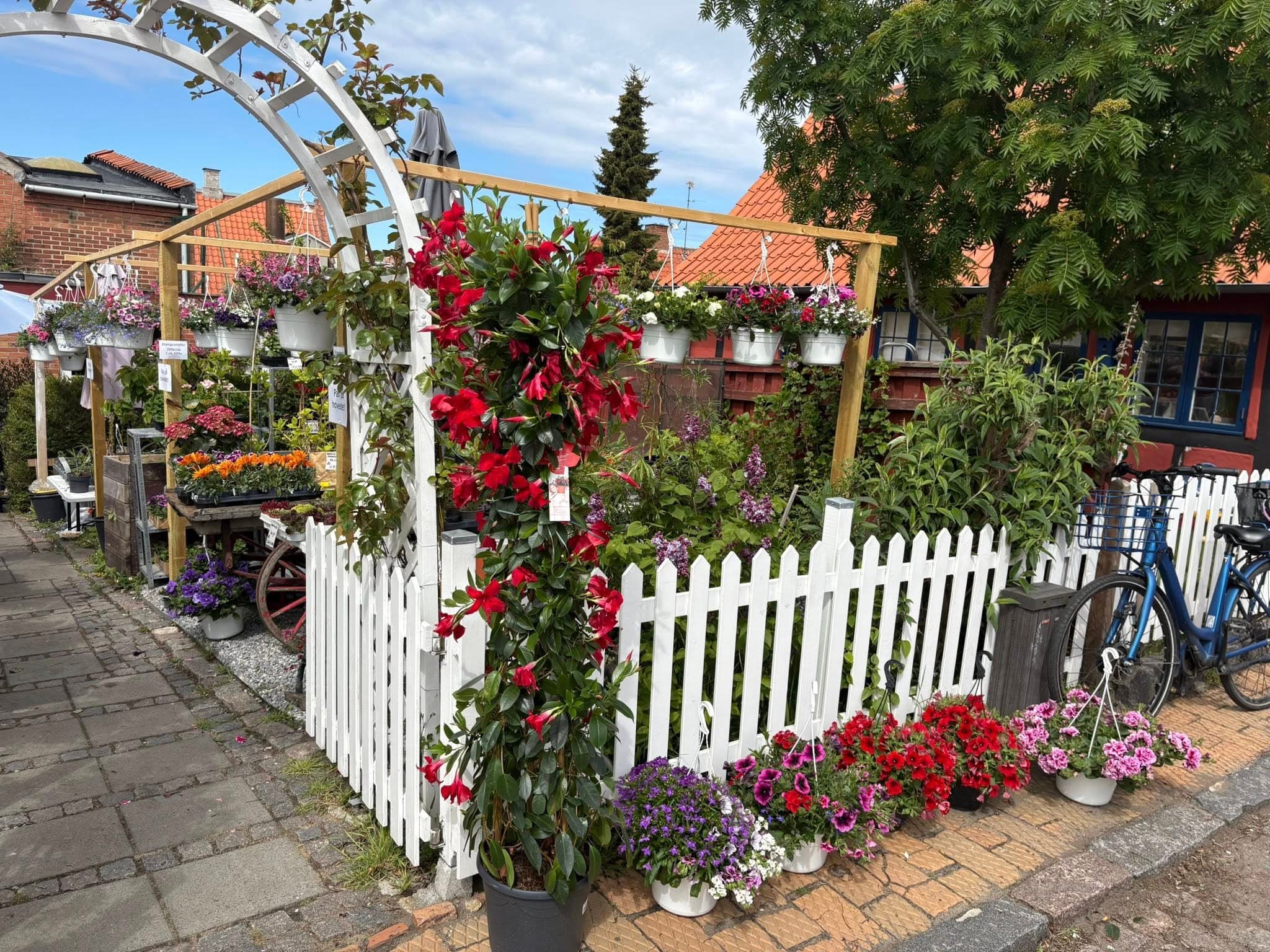Alex' Blomster havebutik på Bornholm
